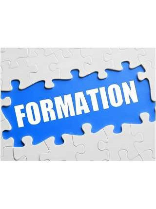 WEB FORMATION A DISTANCE